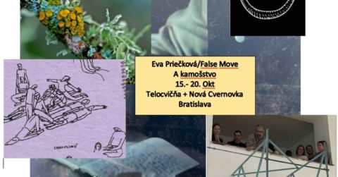 Eva Priečková: False move a kamošstvo