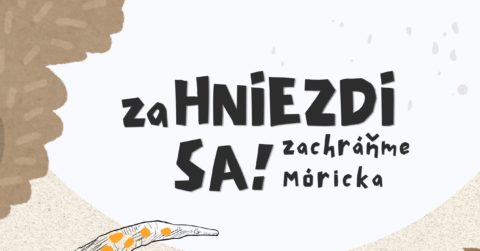 Rodinná nedeľa: Edudrama & Féder Teáter: zaHNIEZDI SA! (Zachráňme Móricka)