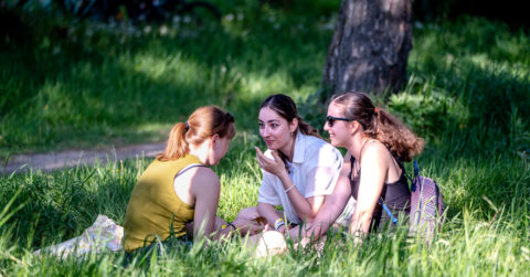 Živý kampus a Leto pod Palmou
