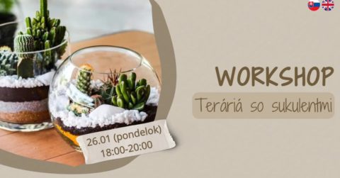 TERÁRIÁ SO SUKULENTMI