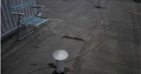 Nová Cvernovka spúšťa svoj doteraz najväčší ekologický projekt: Kultúrne centrum pokryje Zelená strecha